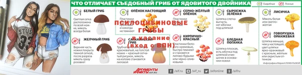 гидропоника Иннополис