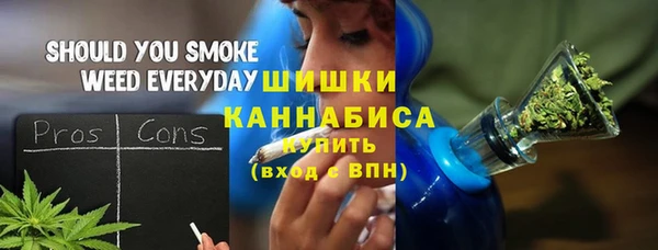 трава Инта