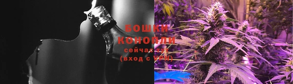 трава Инта