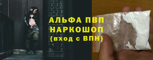 трава Инта