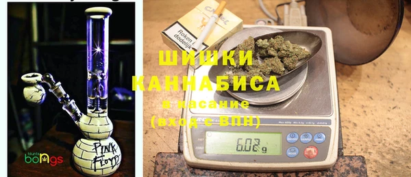 трава Инта