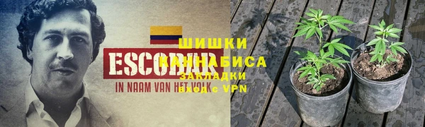 трава Инта
