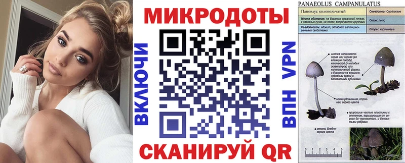 Купить закладки  Ершов  Псилоцибиновые грибы Psilocybine cubensis 